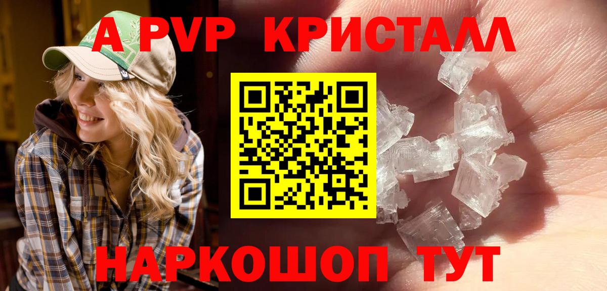 Альфа ПВП СК КРИС Моздок