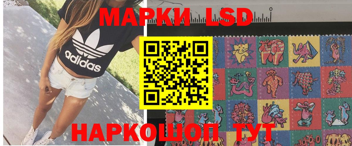 Моздок  Марки NBOMe 1,5мг  где купить наркоту  Вход с VPN  Марки NBOMe 1,5мг  Марки N-bome 