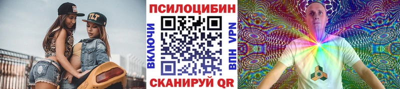 сколько стоит  Моздок  МЕГА как зайти  Галлюциногенные грибы Psilocybine cubensis 